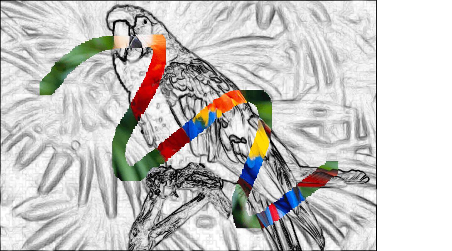 オウムの白黒写真。画像の上に曲線が描かれ、その線の内側に色が追加されています。