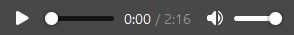 オーディオプレーヤーのタイムスタンプのクローズアップ、"0:00 / 2."と表示されています。