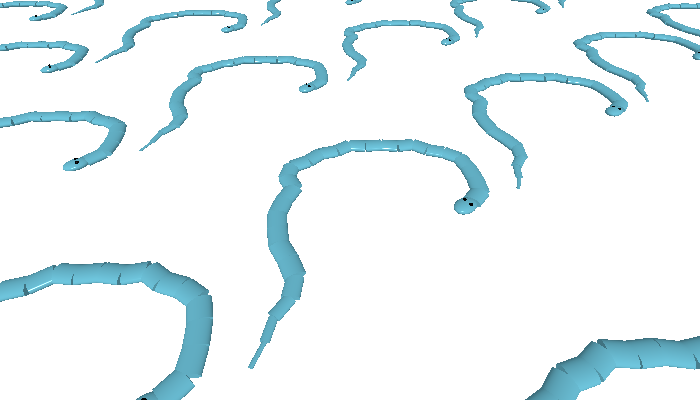 スネークモデルのタイル状の平面。