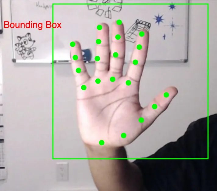 A hand with 4 points in green color identifying each finger, and 5 points identifying the thumb to the bottom of the hand, with a bounding box in green color surrounding the hand